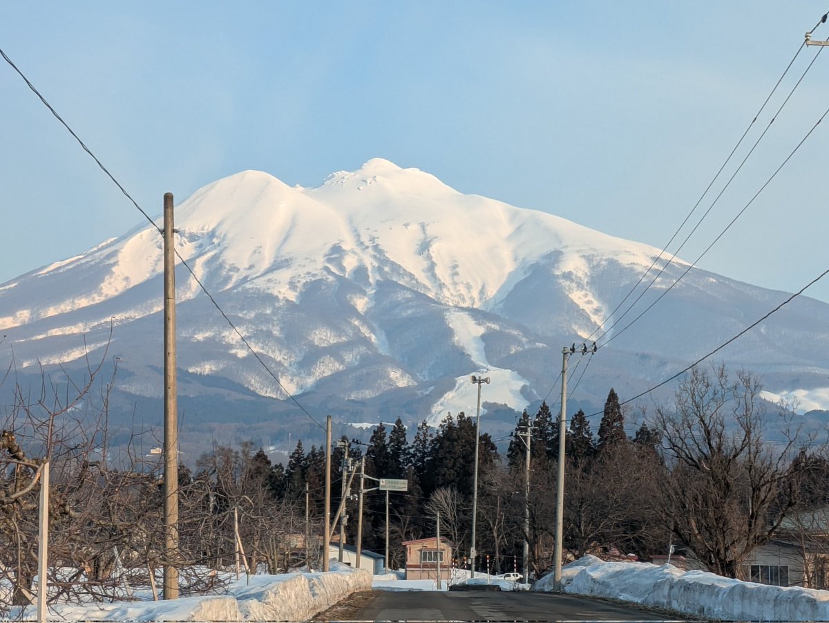 津軽のルッタン🍎わがる人だげに津軽弁で伝える🍏 tweet media