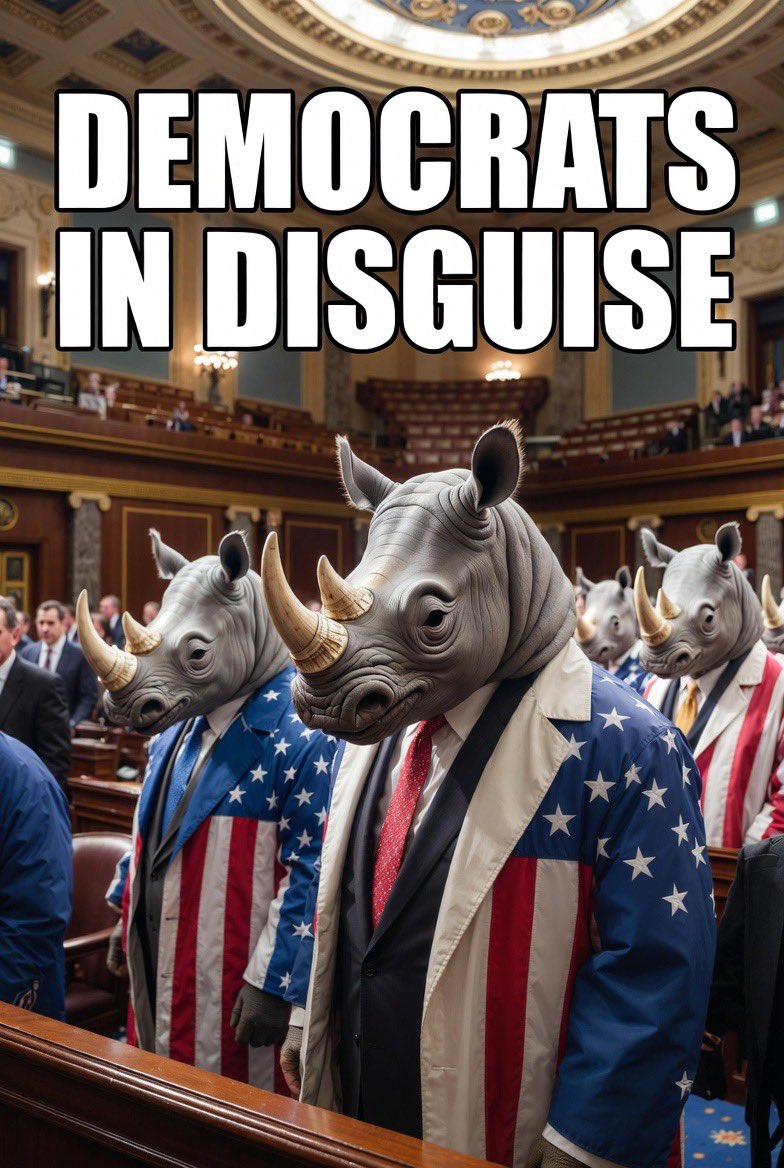 MAGA Texan 🇺🇸✝️ tweet media