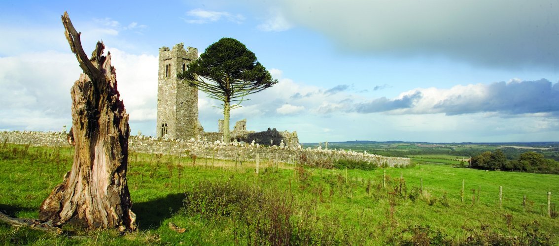 The Tablet tweet media