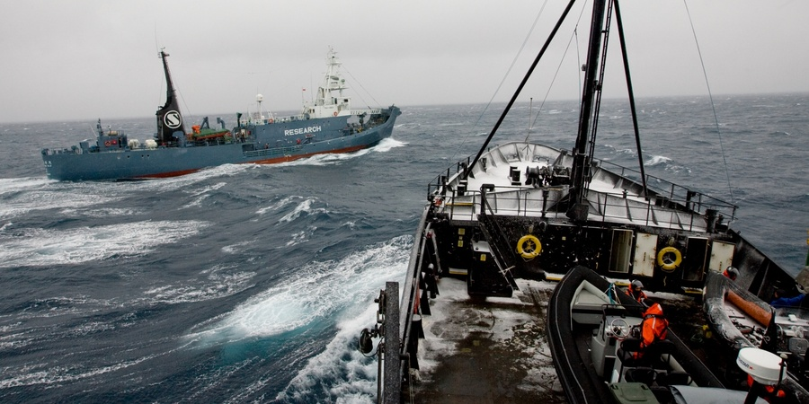 Sam Ross tweet media