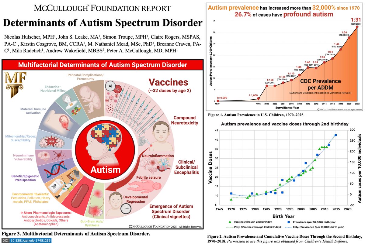 Nicolas Hulscher, MPH tweet media