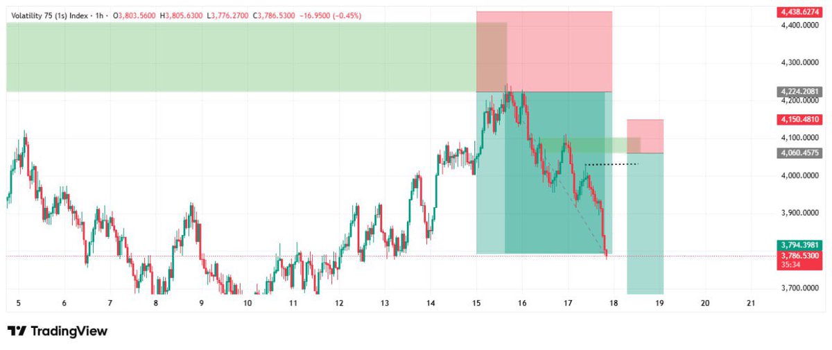 Josh Doit🐻 tweet media