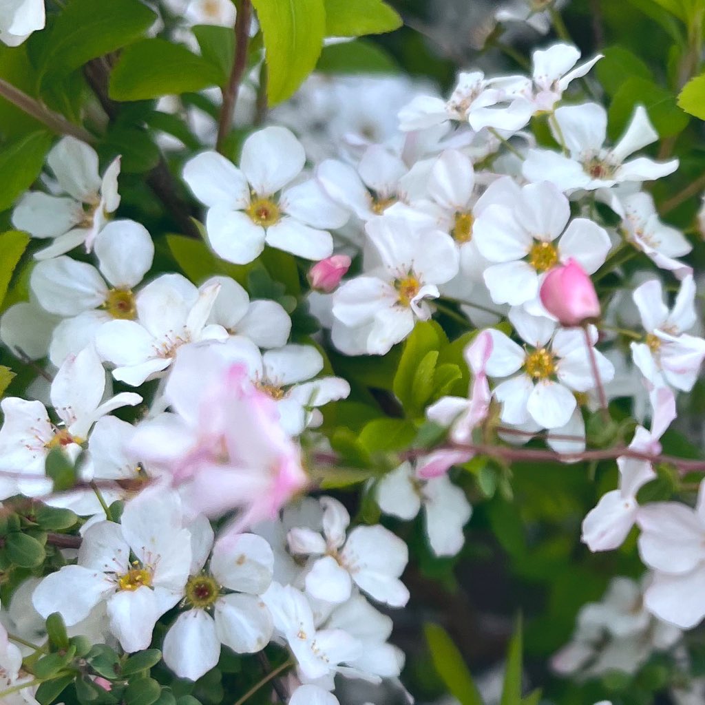 冥夢 meimu tweet media