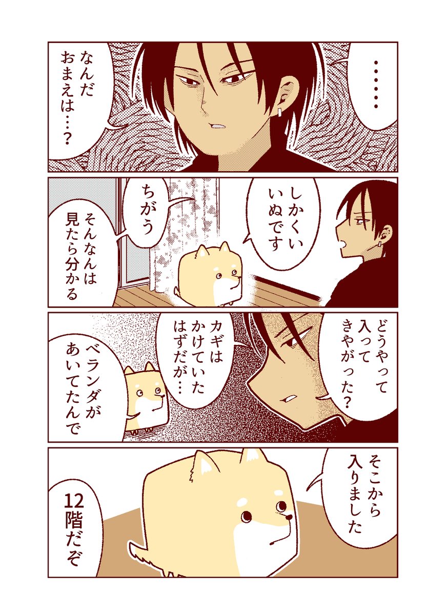しかくい犬です。 