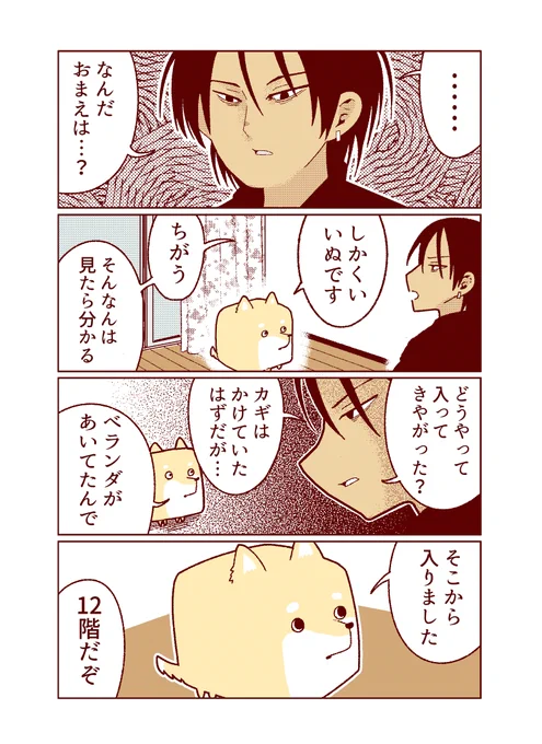 しかくい犬です。 