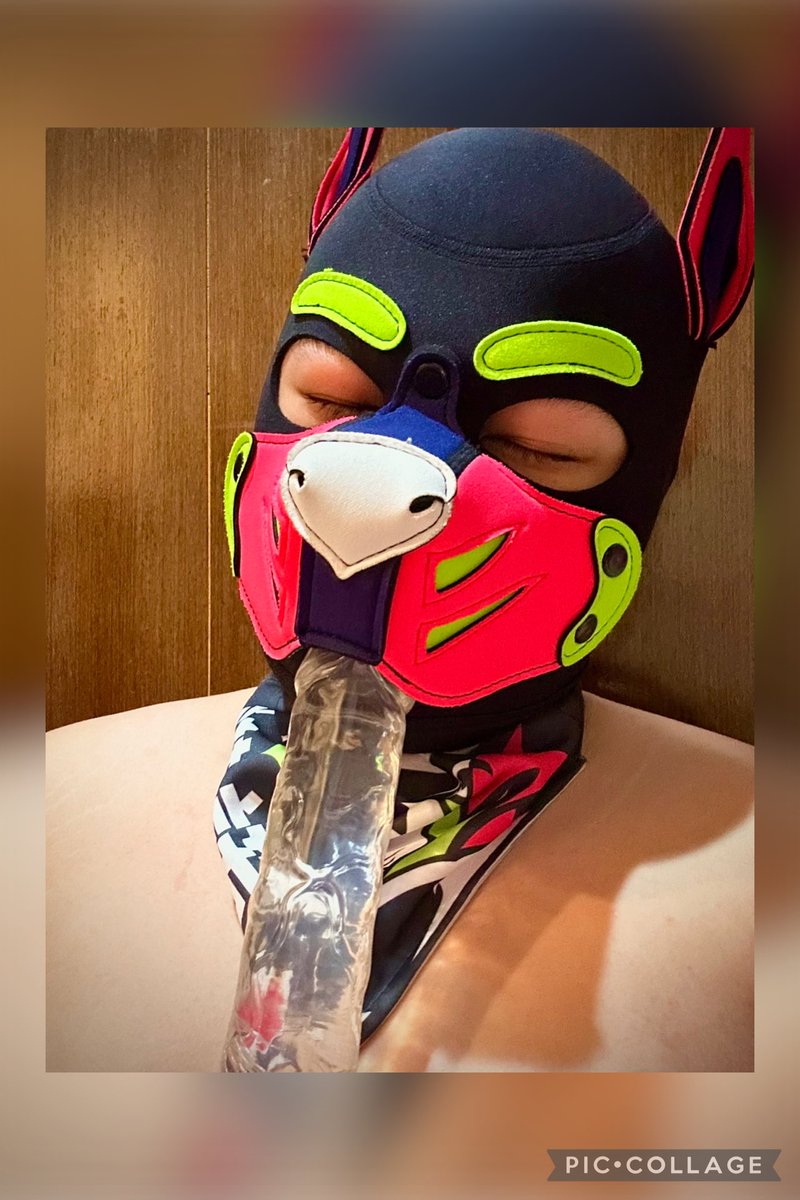 Nova諾諾 tweet media