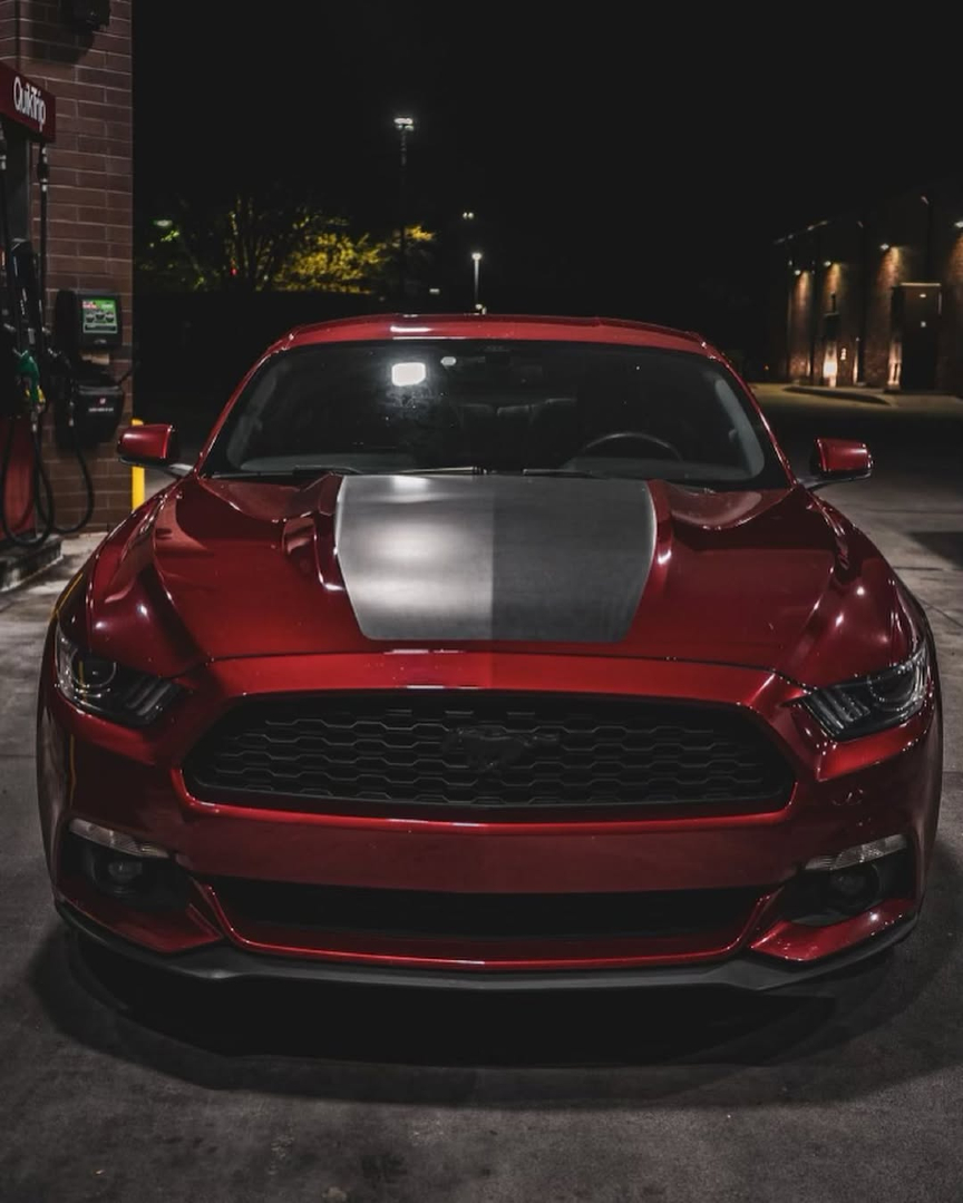 KustomInterior's tweet image. Mustang comfort, upgraded 🏁 @daylen_ruskin_

#kustom_interior #FordMustang #MustangMods #MustangInterior #CustomSeatCovers