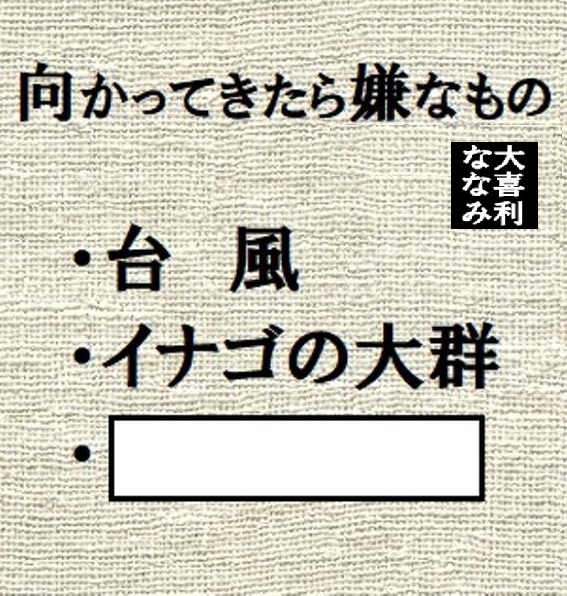 【大喜利】ななみ tweet media