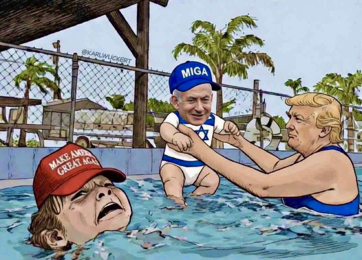 Marvin Sensible Centrist tweet media