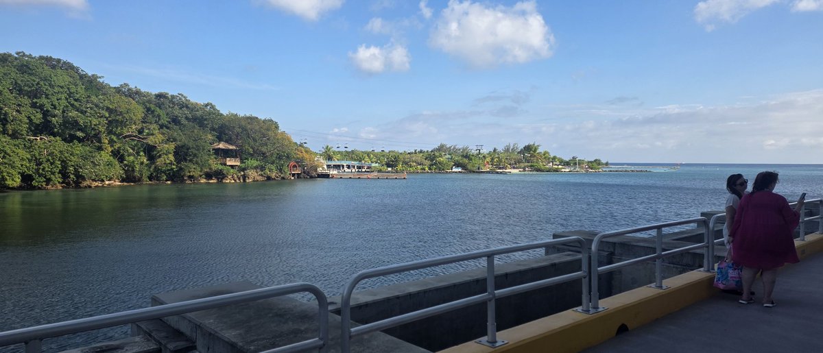 Section240 tweet media