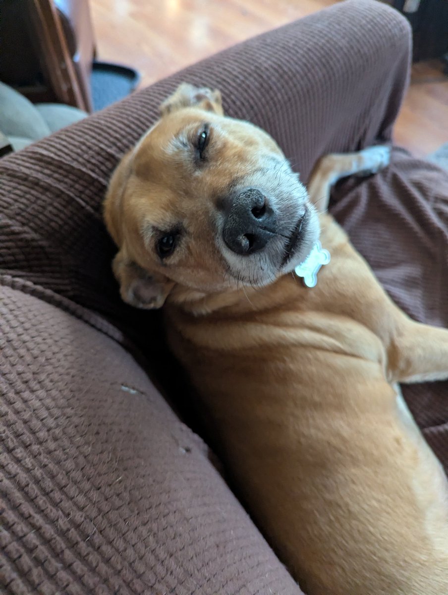 Gary David tweet media