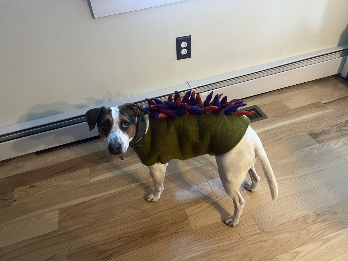 UmpDump2005's tweet photo. #VoteDump in the #108Tourney Pops is sad that his parents put him in a dinosaur costume but you can make him smile again by voting for #DumpOnTheUmp https://t.co/063BFDZBjP