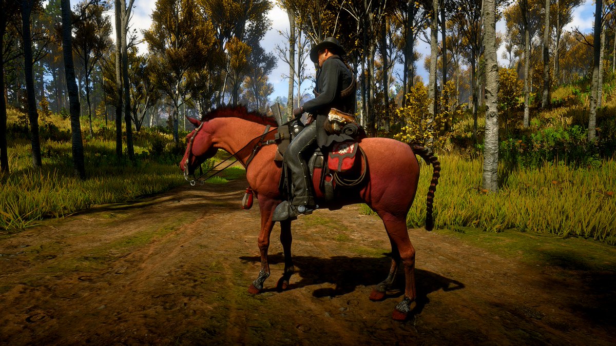 AzViking69Gamer tweet media