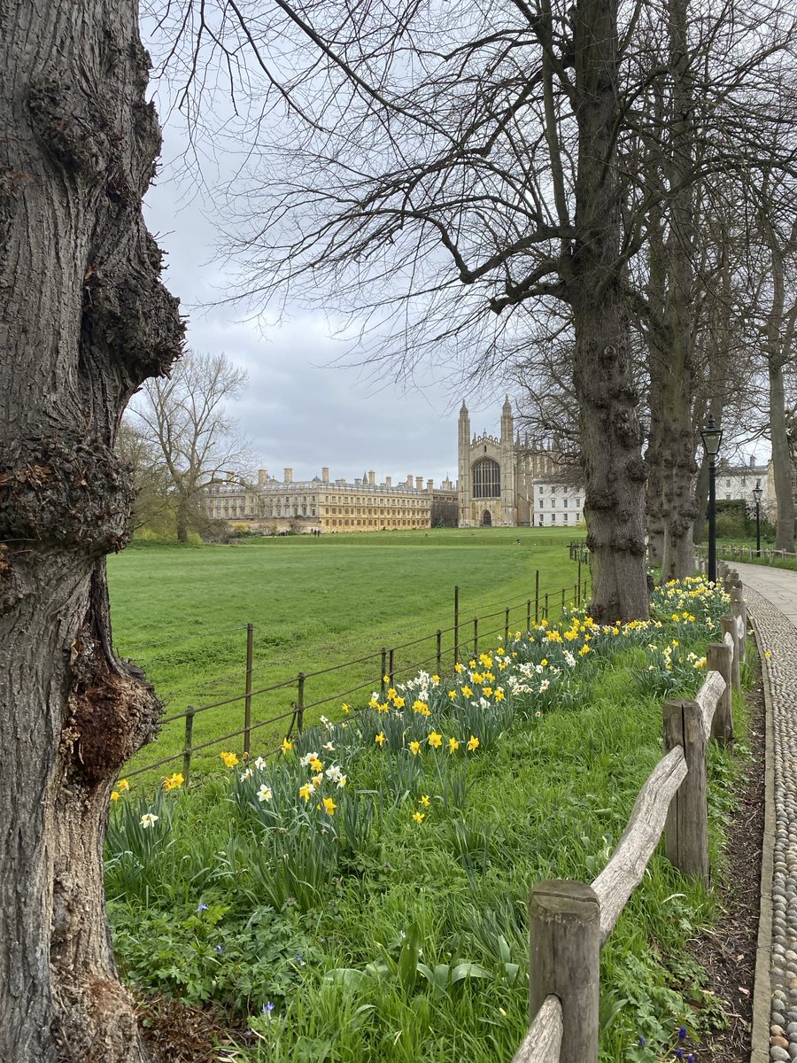 David Hill tweet media