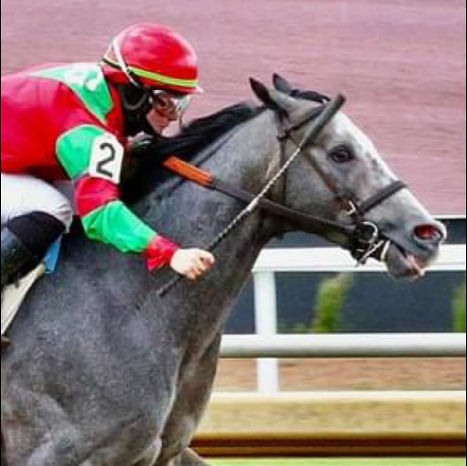 Art Martineau tweet media