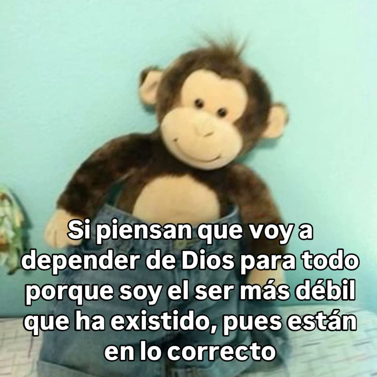 🤠✝️ tweet media