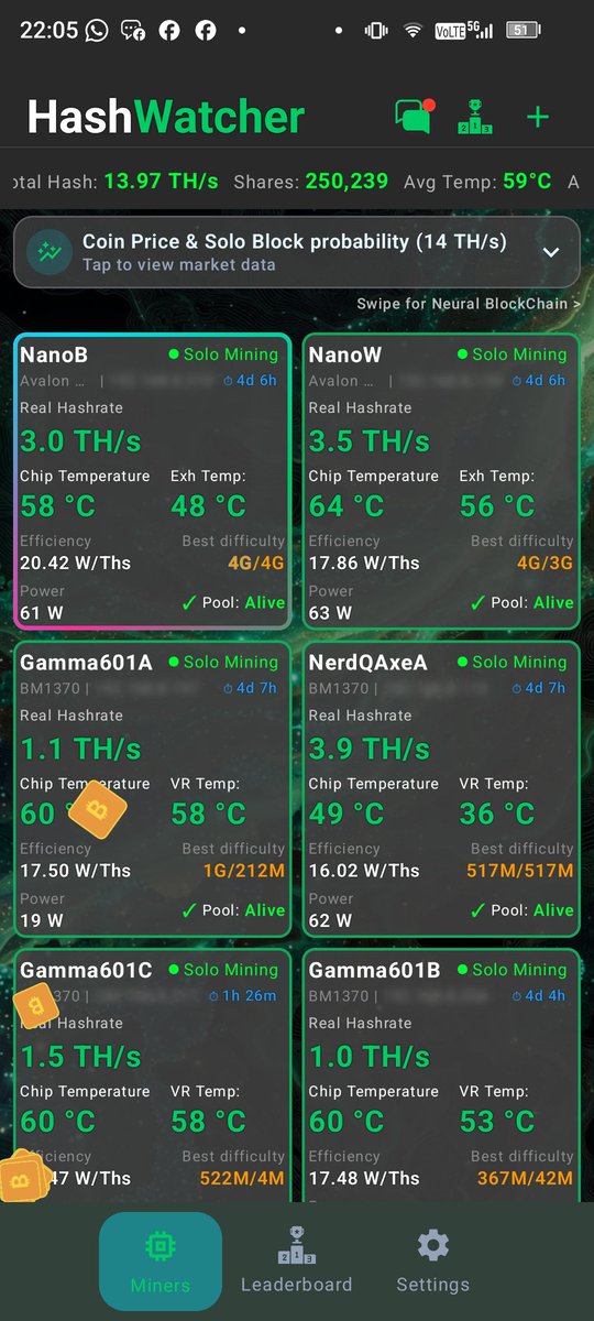 Goose Pimples tweet media