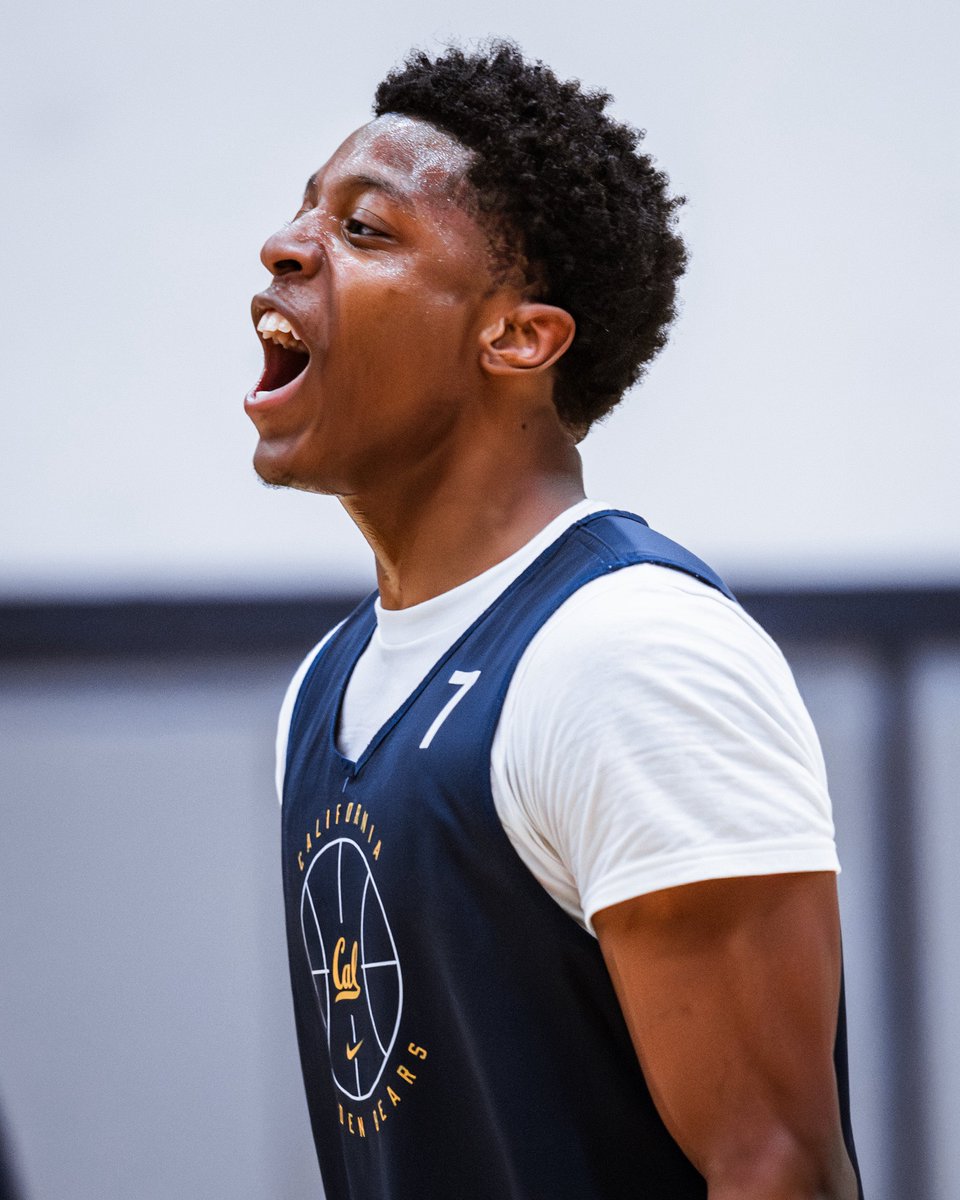 Cal Basketball tweet media