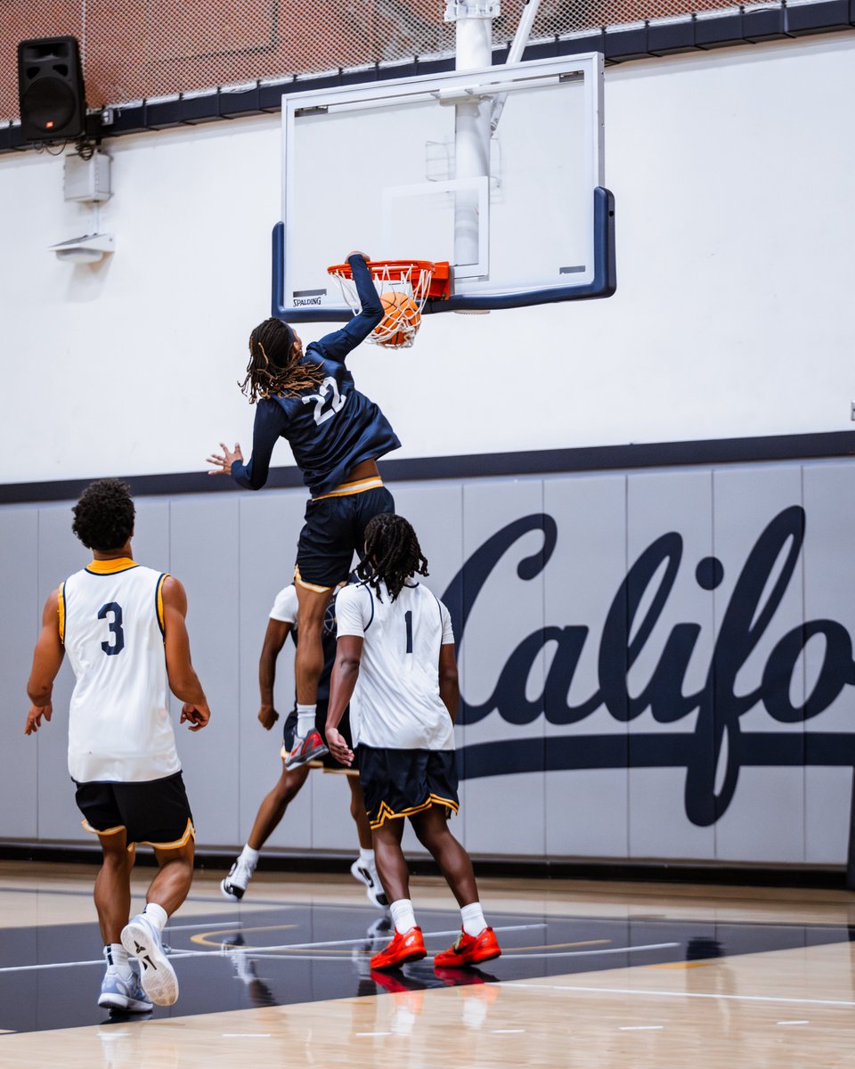 Cal Basketball tweet media