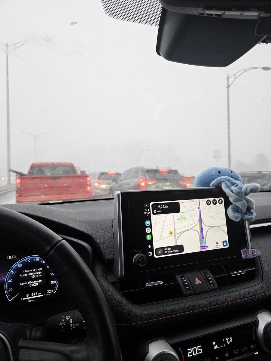 kathleen tweet media