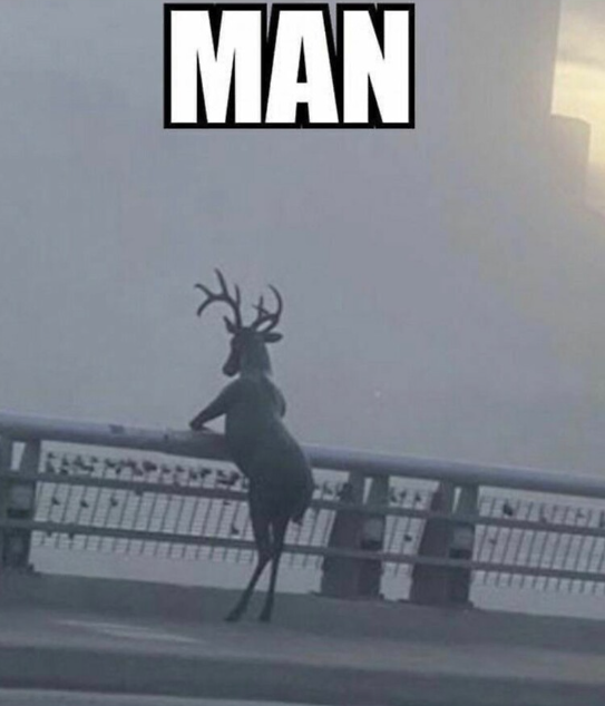 Cozy Cola tweet media