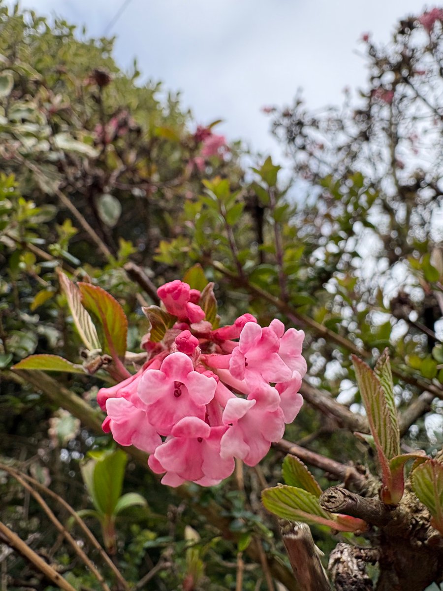 KillingB designs tweet media