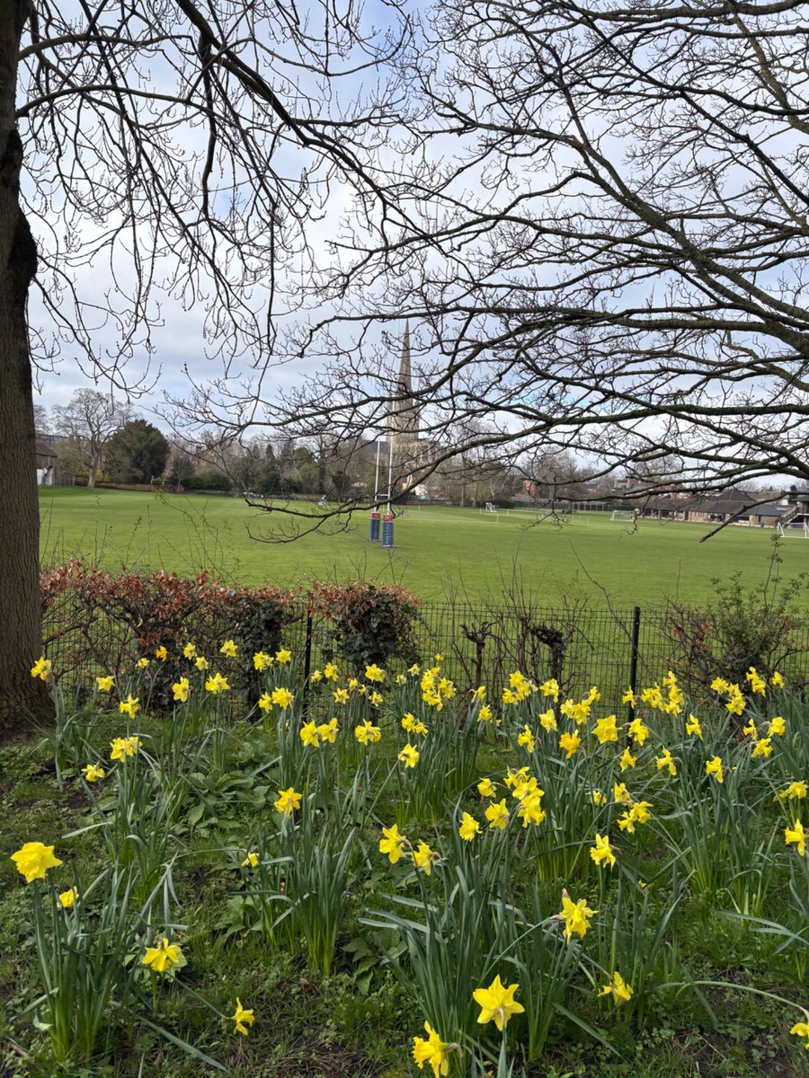 KillingB designs tweet media