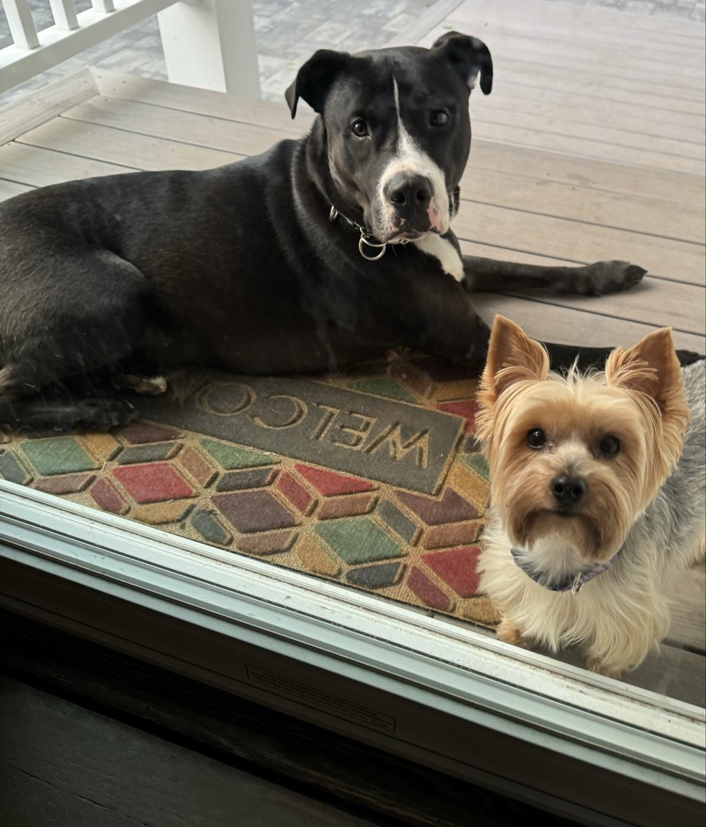 Octagon Focus tweet media