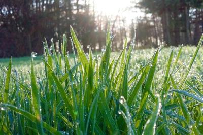 LoriClickRPC's tweet photo. Temps might still be a long way from shorts and T-shirts, but if your soil is warming up, it's time to tackle your spring lawn care tasks. Especially if you want a gorgeous yard with the least amount of hassle. Before soil temps rea https://t.co/Jt6Sv0lFDe https://t.co/AqLqT0YMjW