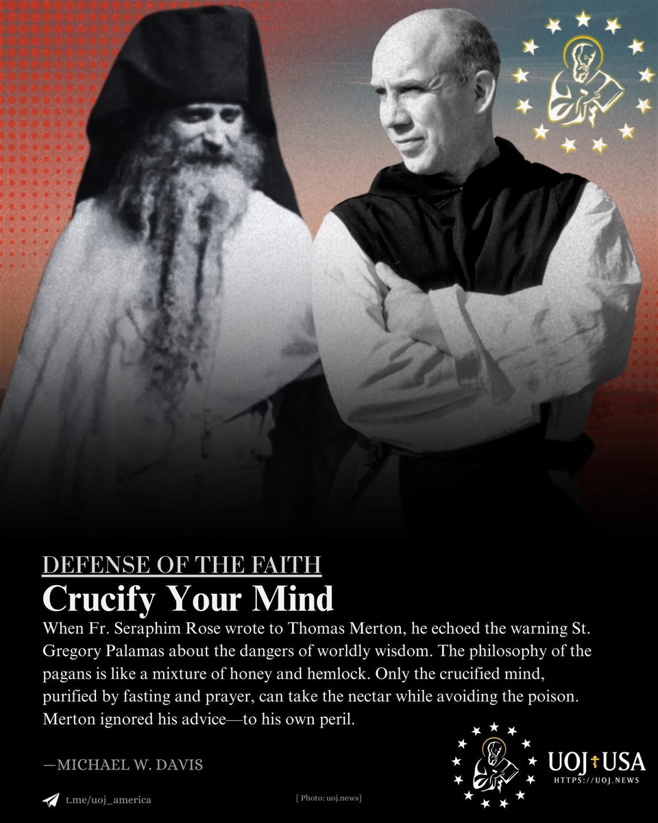 UOJ - America tweet media