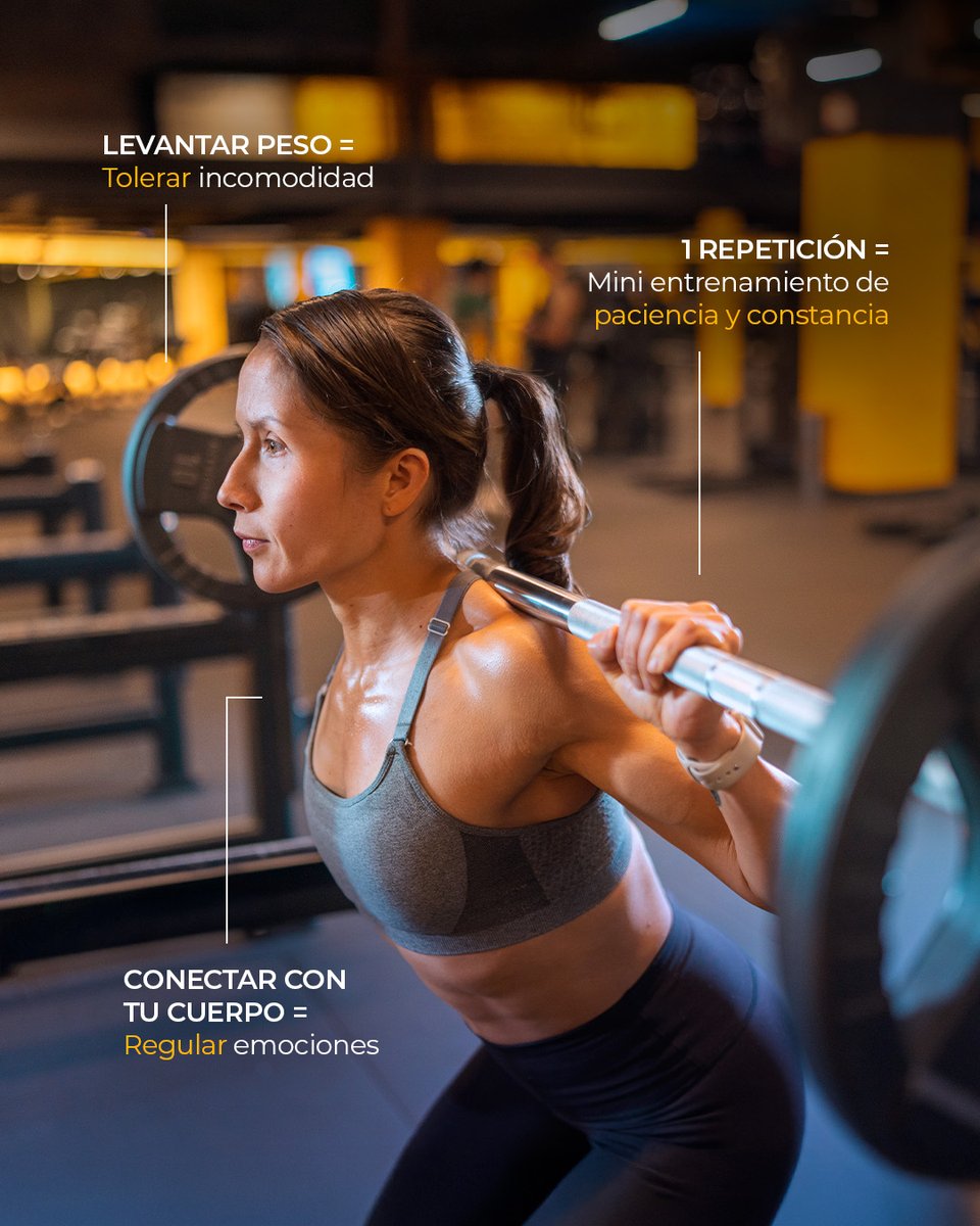 Smart Fit México tweet media