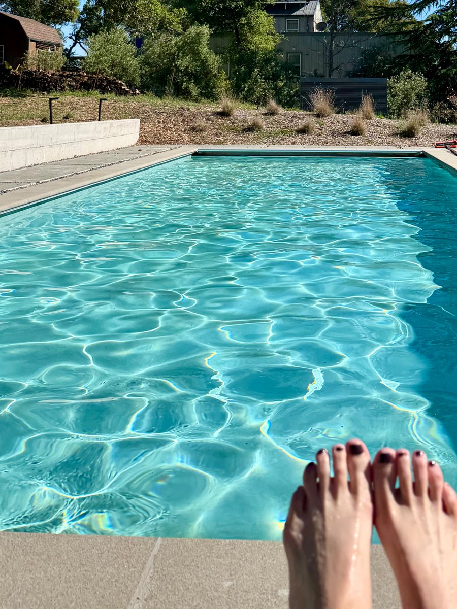 The Girl with the Mozart Tattoo tweet media