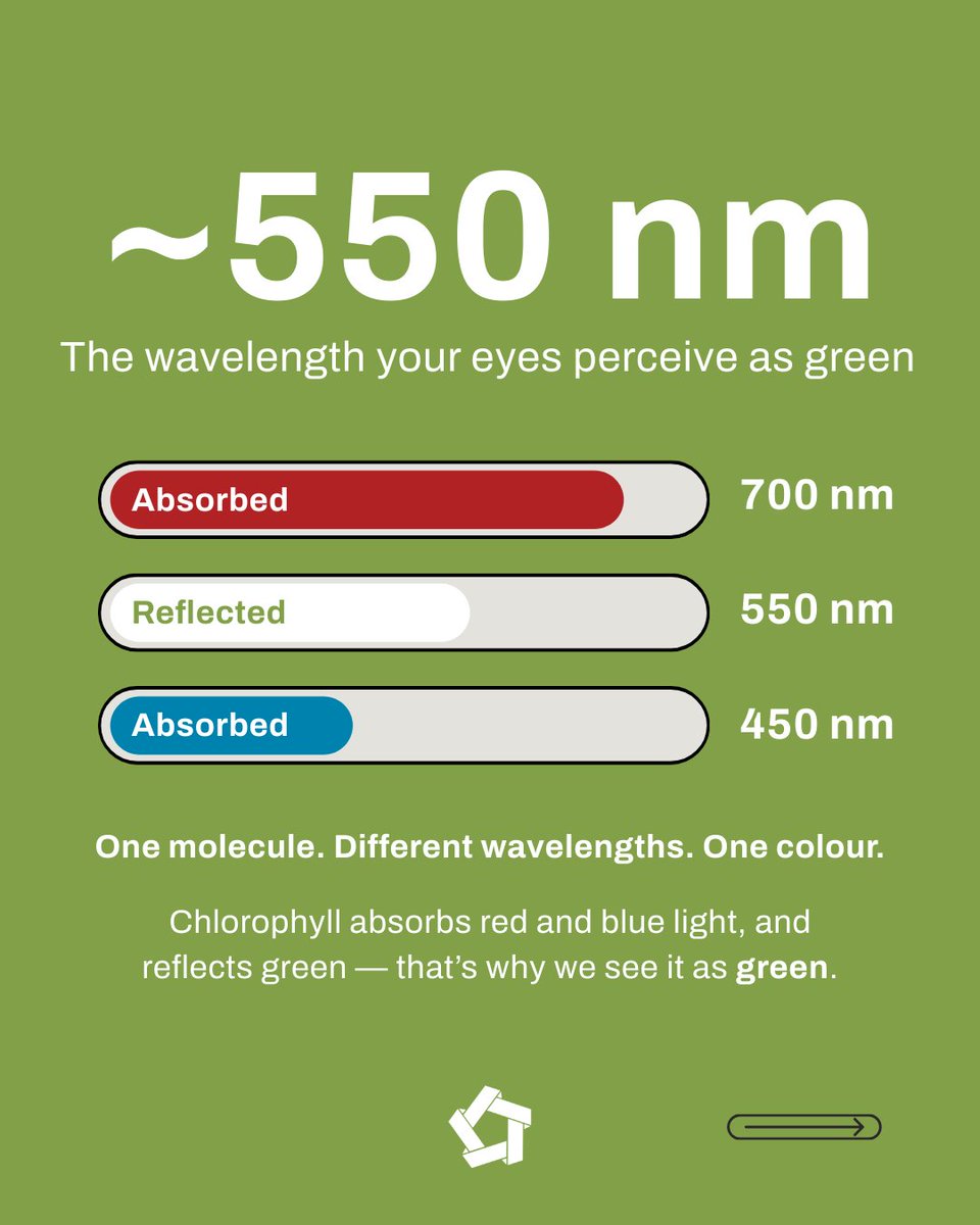 Shad Canada tweet media