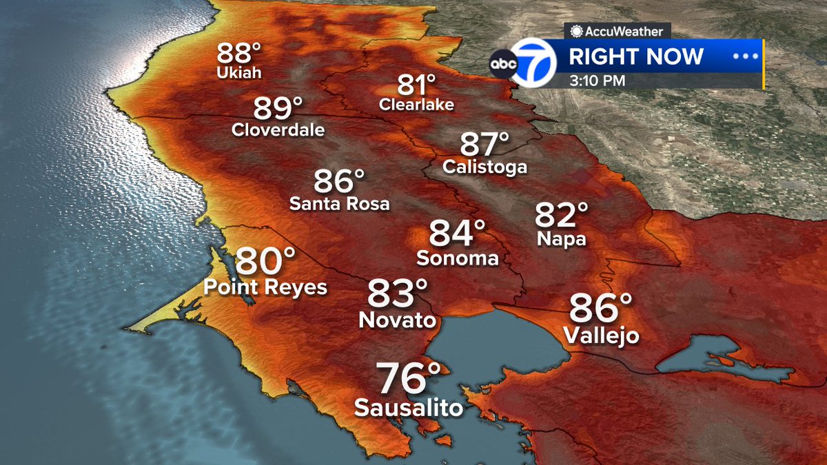 Sandhya Patel tweet media