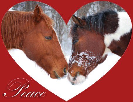 horse (@horseimage) on Twitter photo 