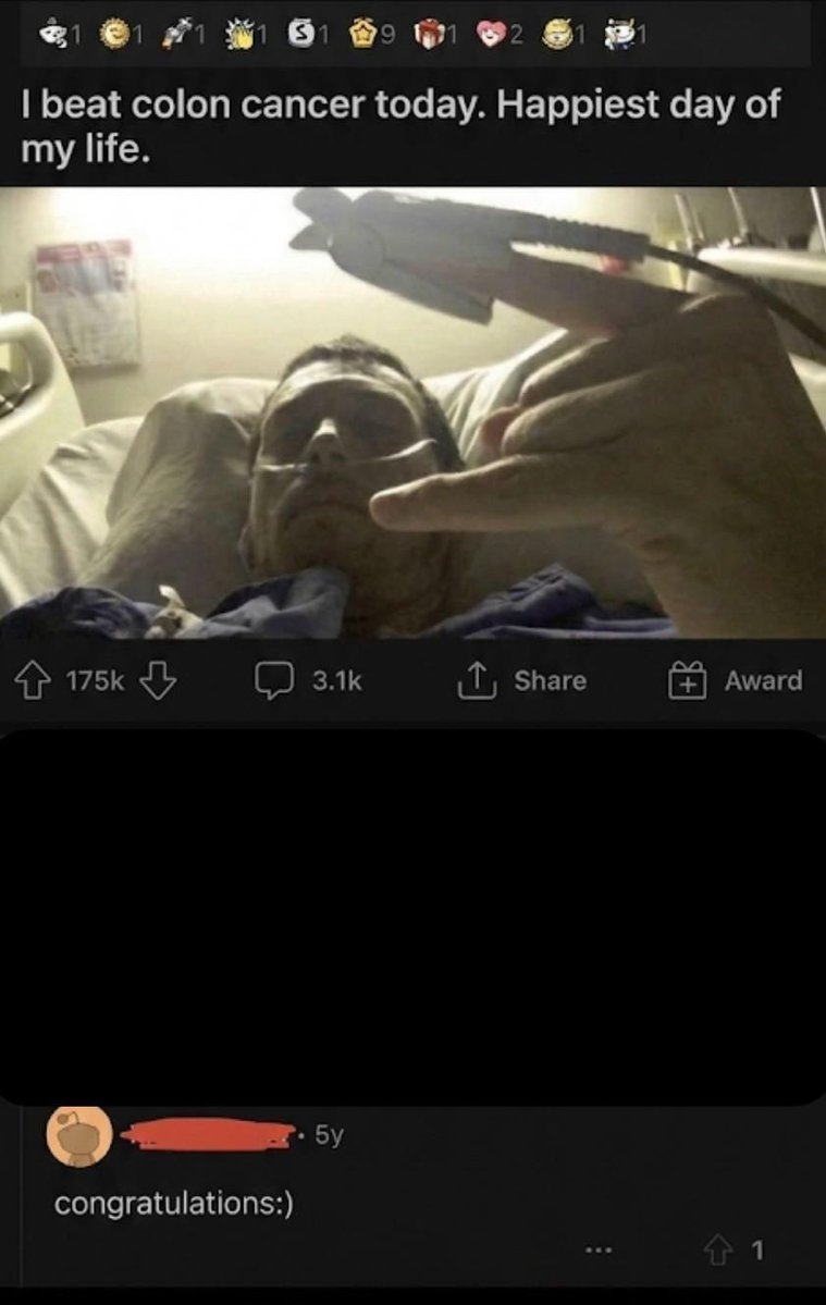 literal memes tweet media