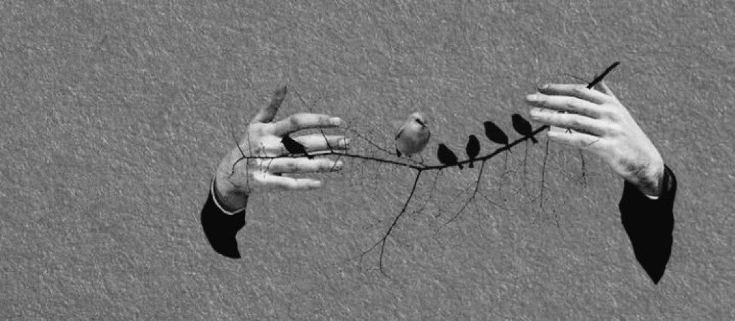 “Haddini aşan insana tevazu gösterilmez, had bildirilir.

Bazen kelâm ile, bazen sükût ile; bazen de yok saymak ile.”