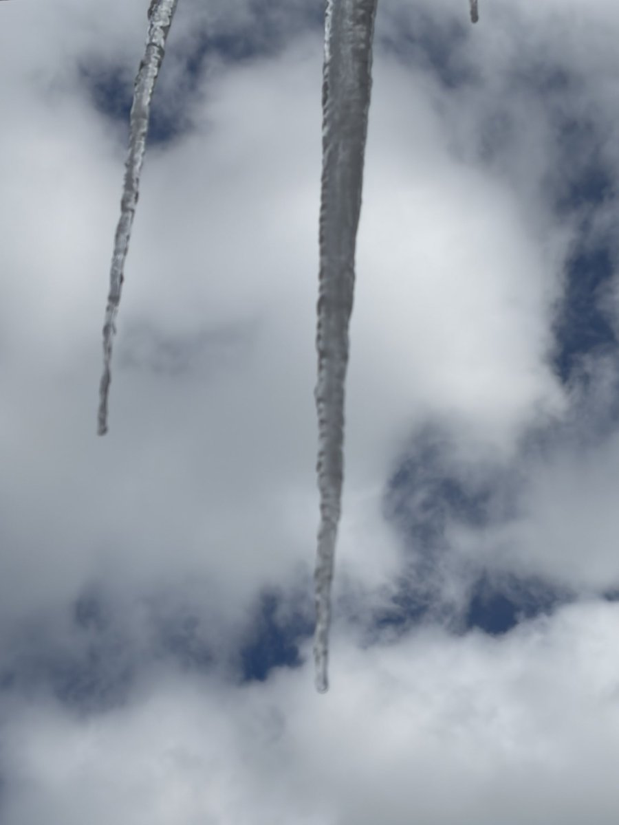 Ted Stokes tweet media