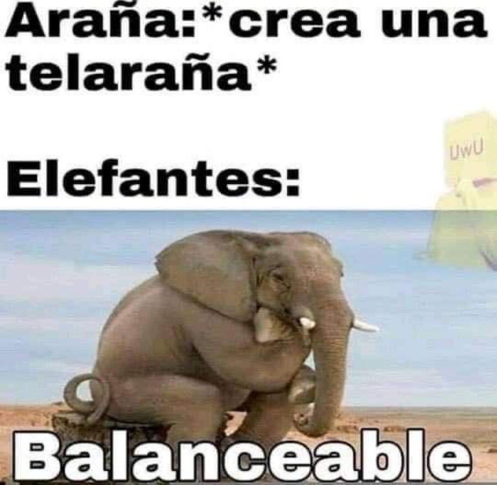 adricazoorla's tweet photo. https://t.co/H9Smhb8ENw