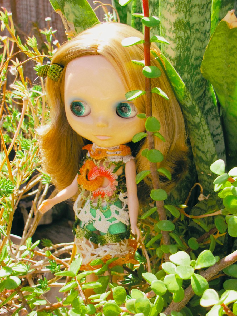 publicly egg tweet media