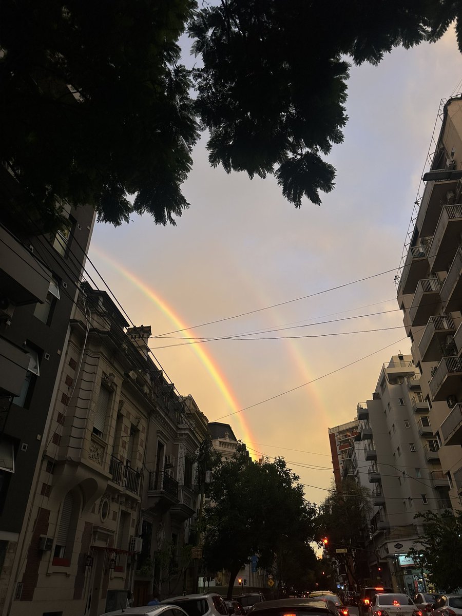 jotapecito tweet media