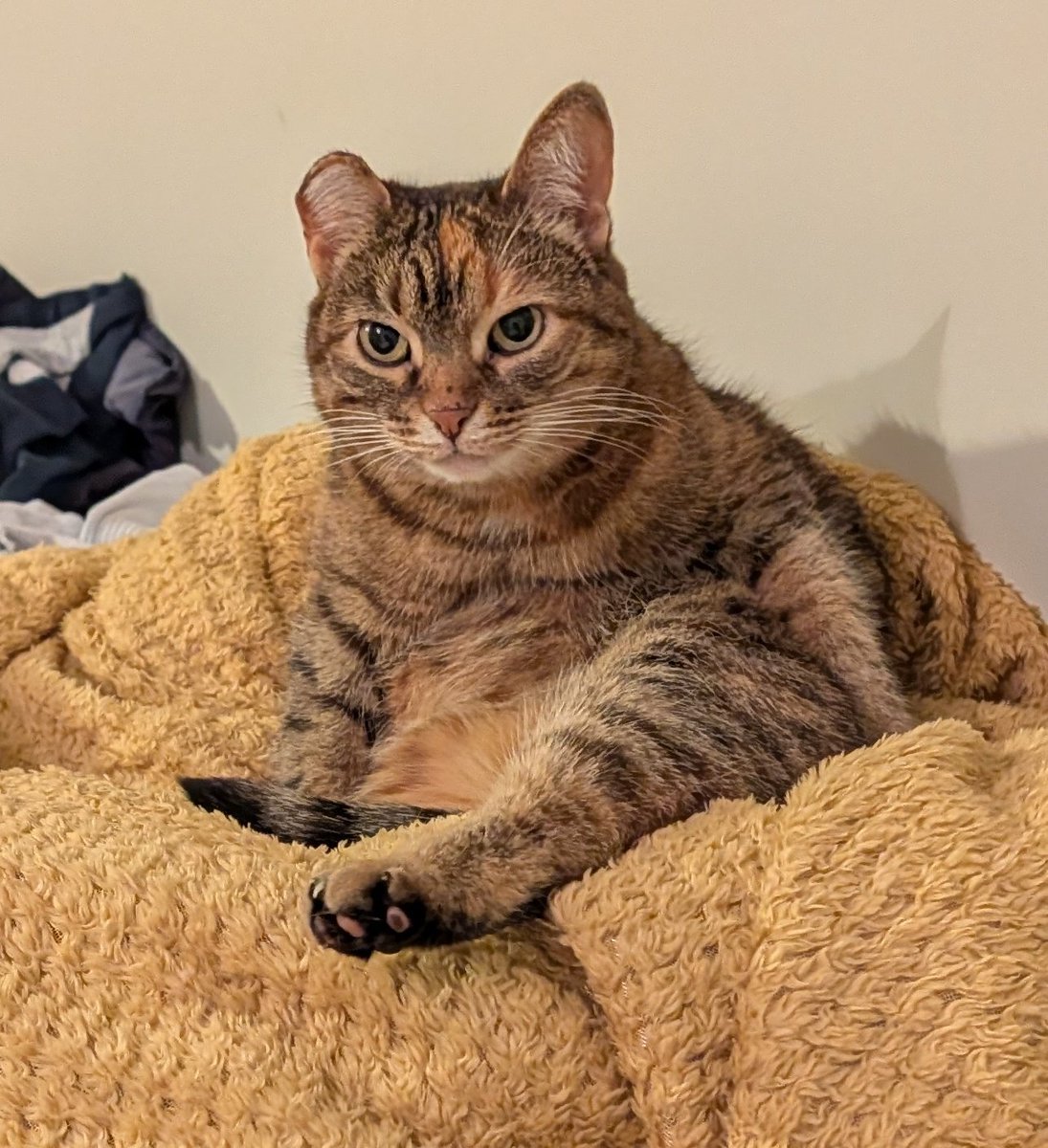 эта ульянка хуже керосина tweet media