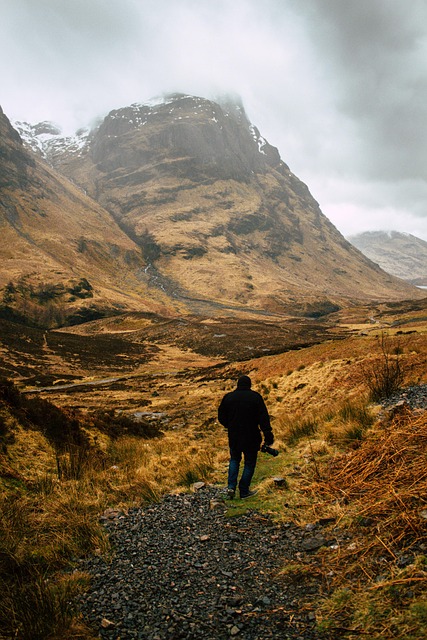 Jocelyn Howard tweet media