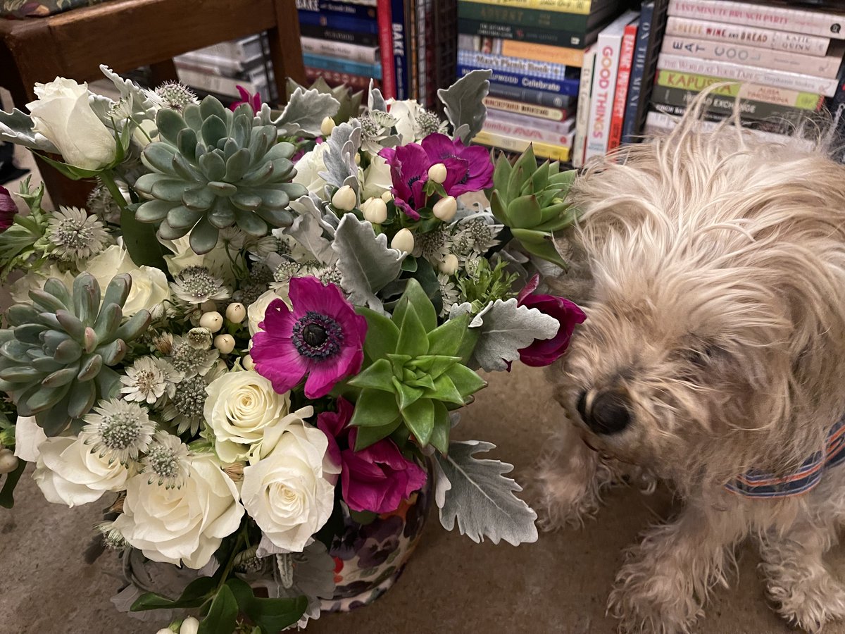 Lord Alfred’s Diary tweet media