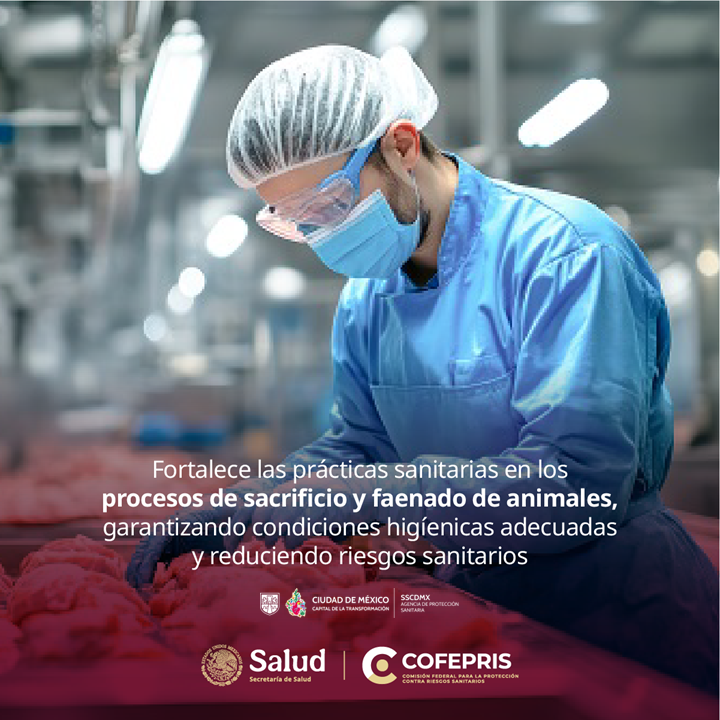 AGSANITARIA's tweet image. 🤤La #calidad de tu corte empieza mucho antes de llegar a la sartén.🥩

✨Un #rastro con #higiene asegura que la carne no venga contaminada desde el origen.

Valorar la limpieza en el procesamiento y venta de #carnes, es valorar tu propia salud. 🧼🐄   

#HigieneAlimentaria