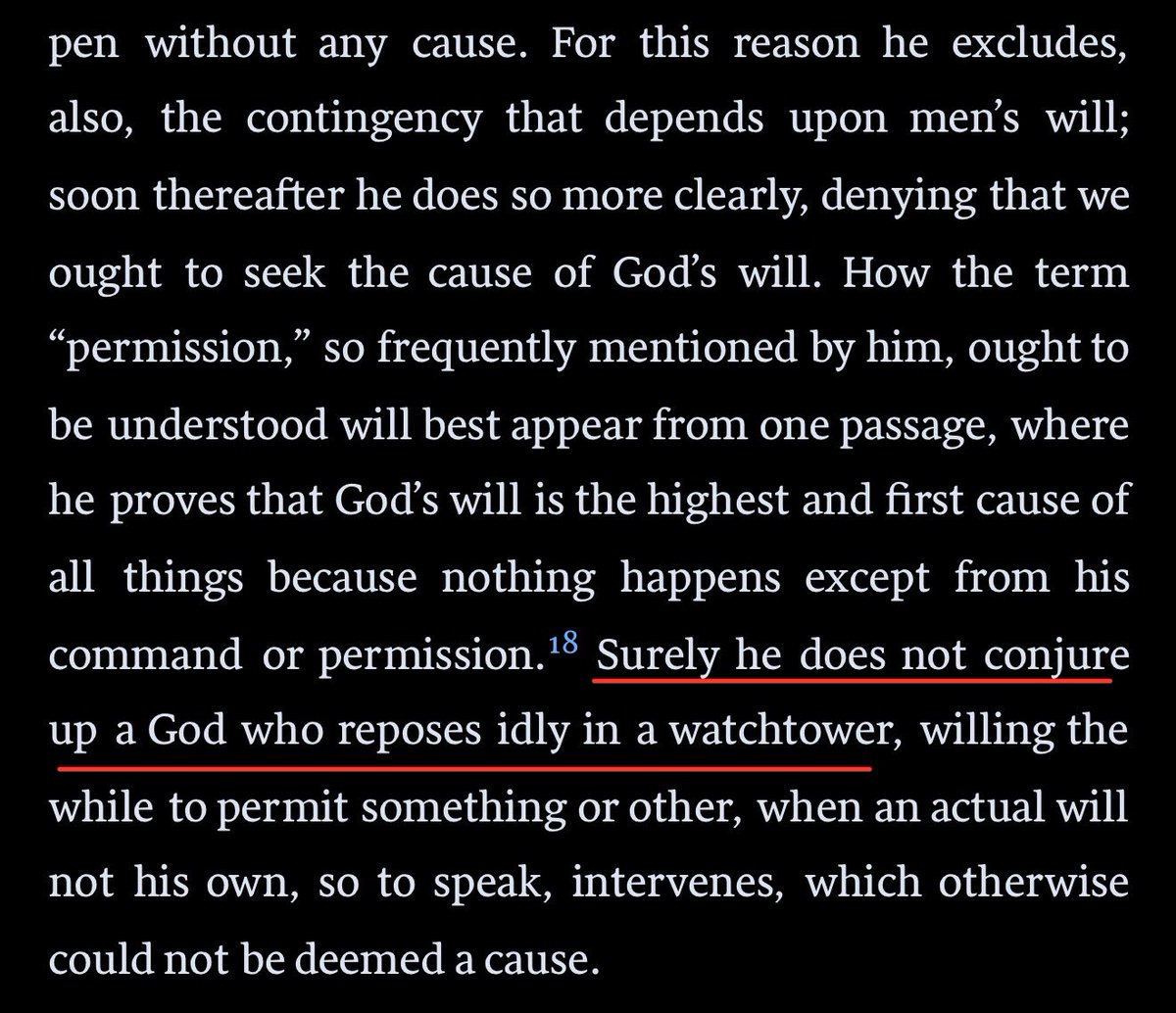 Caio Rodrigues tweet media