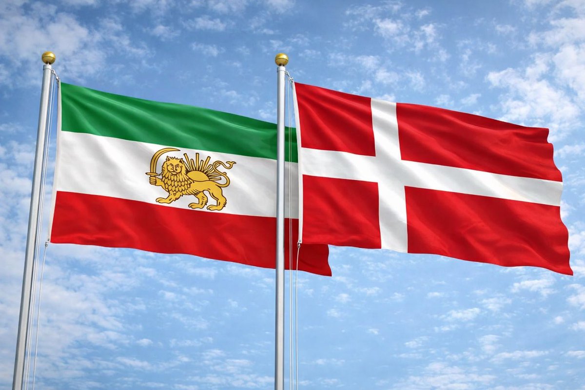 Sheema Kalbasi شیما کلباسی tweet media