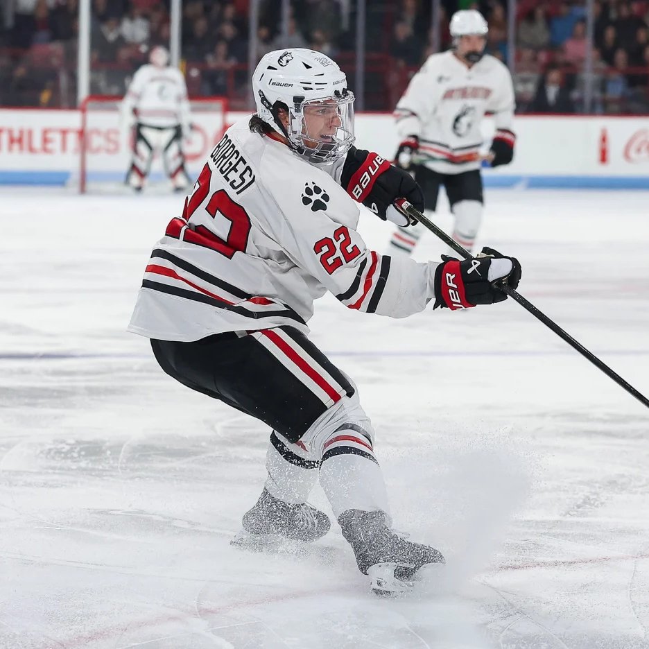 Leafslatest tweet media