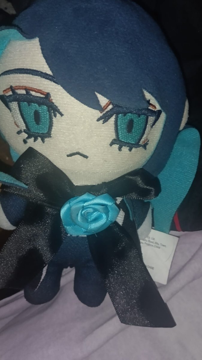 Diego Armando Mendoza Martinez tweet media