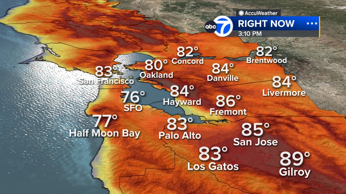 Sandhya Patel tweet media